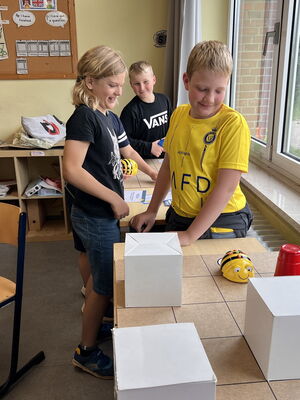 Schülerinnen und Schüler beim Experimentieren mit Beebots