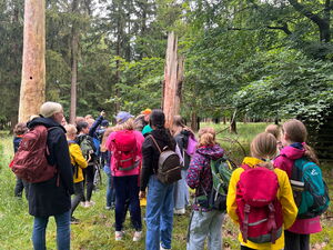 Kinder beim Wandern im Wald