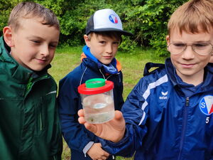 Kinder beim Experimentieren im Freien