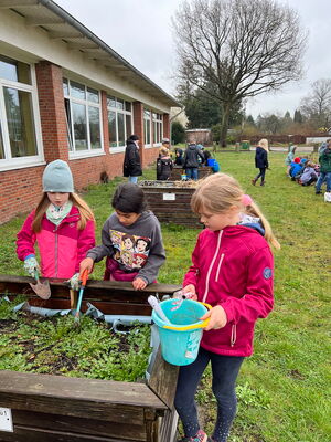 Gartentag in der Schule