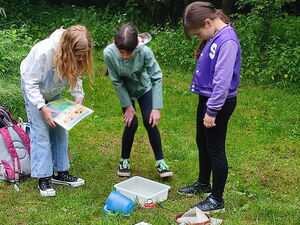 Kinder beim Experimentieren im Freien