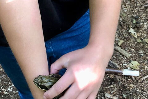 Kind mit Frosch