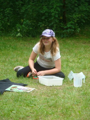 Schülerinnen und Schüler beim Programm im Park