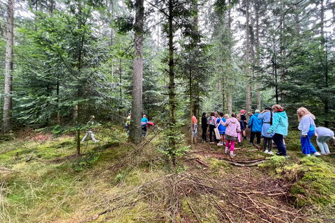 Schulkinder im Wald