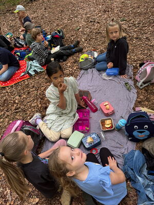 Schülerinnen und Schüler beim Ausflug in den Wald