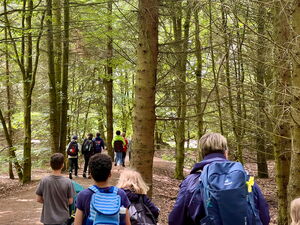 Kinder beim Wandern im Wald