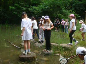 Schülerinnen und Schüler beim Programm im Park
