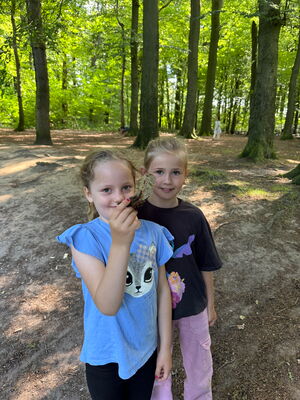 Schülerinnen und Schüler beim Ausflug in den Wald