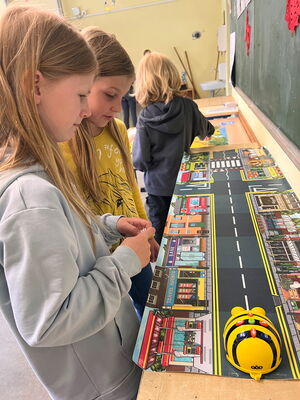 Schülerinnen und Schüler beim Experimentieren mit Beebots
