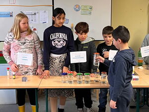 Schülerinnen und Schüler beim Experimentieren in Gruppen