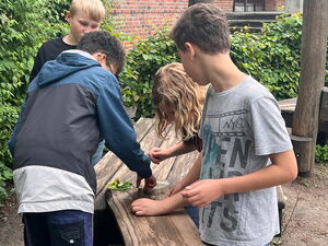 Naturtag mit Schnecken